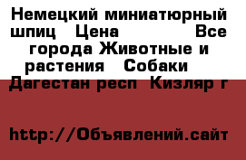 Немецкий миниатюрный шпиц › Цена ­ 60 000 - Все города Животные и растения » Собаки   . Дагестан респ.,Кизляр г.
